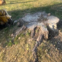 Stump Grinding