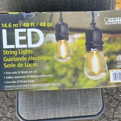 Feit Electric LED String Lights 48’ (4 in stock)