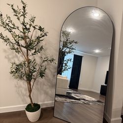 Mirror - $125 Olive Tree with pot- $60
