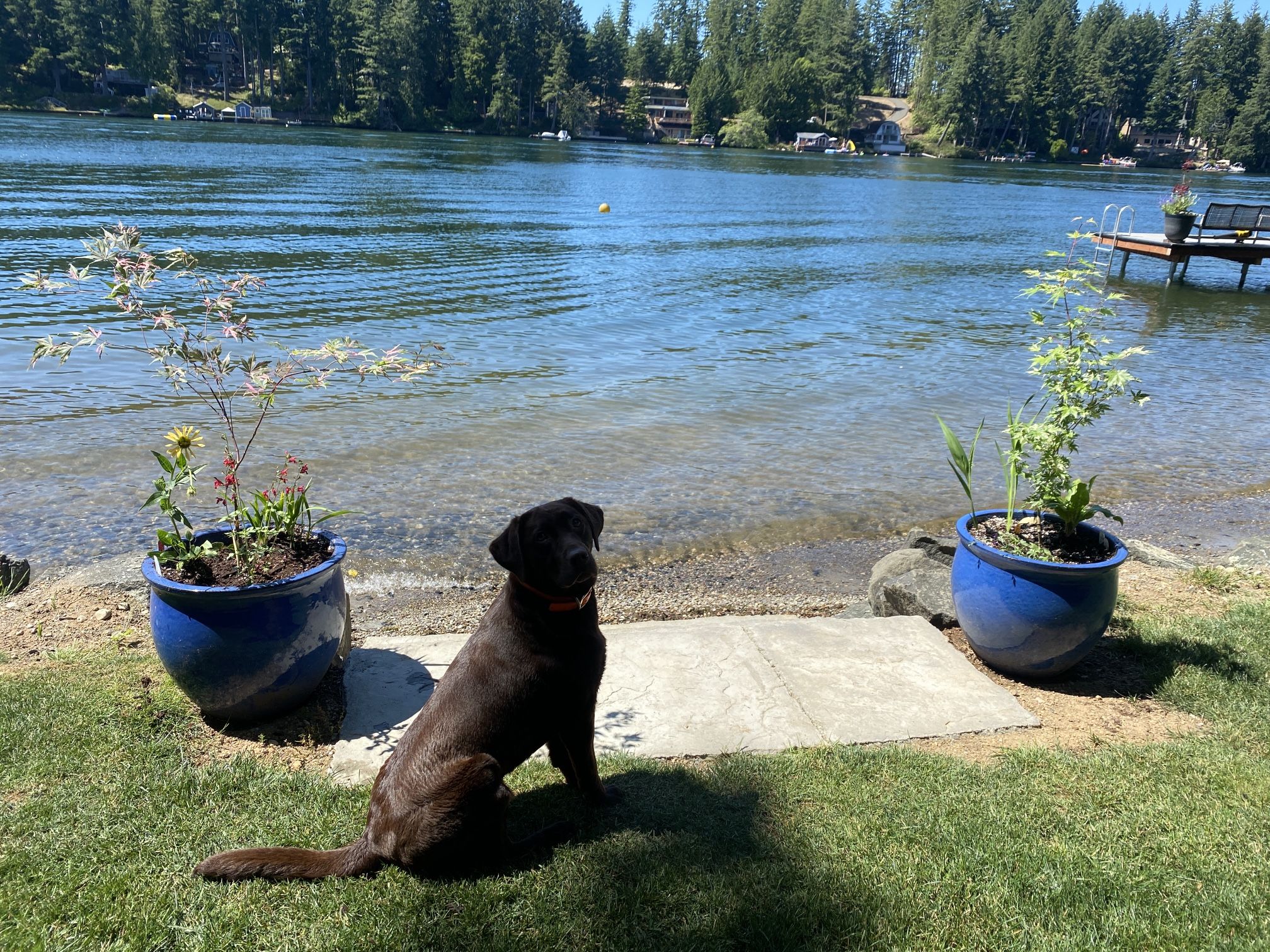 Custom-Designed Planter Pots (part III)