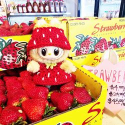 Labubu Macaron Have A Seat Crochet Strawberry Outfit Labubu Clothes