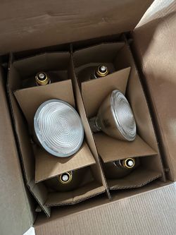 Outdoor/indoor lights