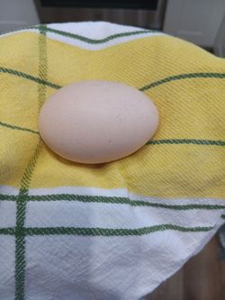Farm Fresh Eggs