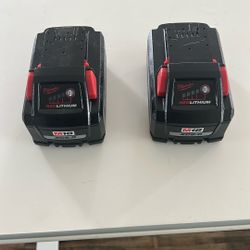 2 /18v Xc 6.0 Red Lithium Milwaukee  Battery 🪫 