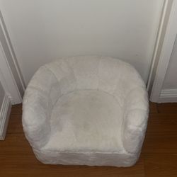 dog bed 
