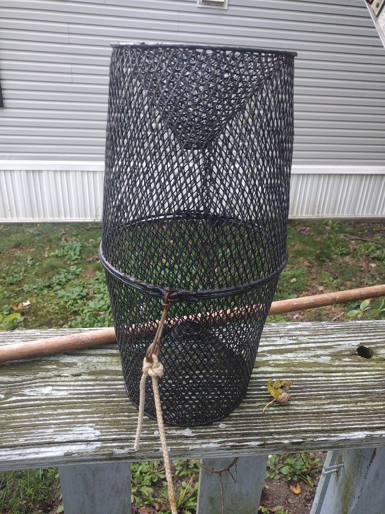 Minnow Trap Catch Your Own Bait 