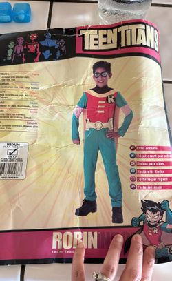 Robin Costume
