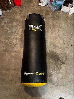 Everlast Heavy Bag
