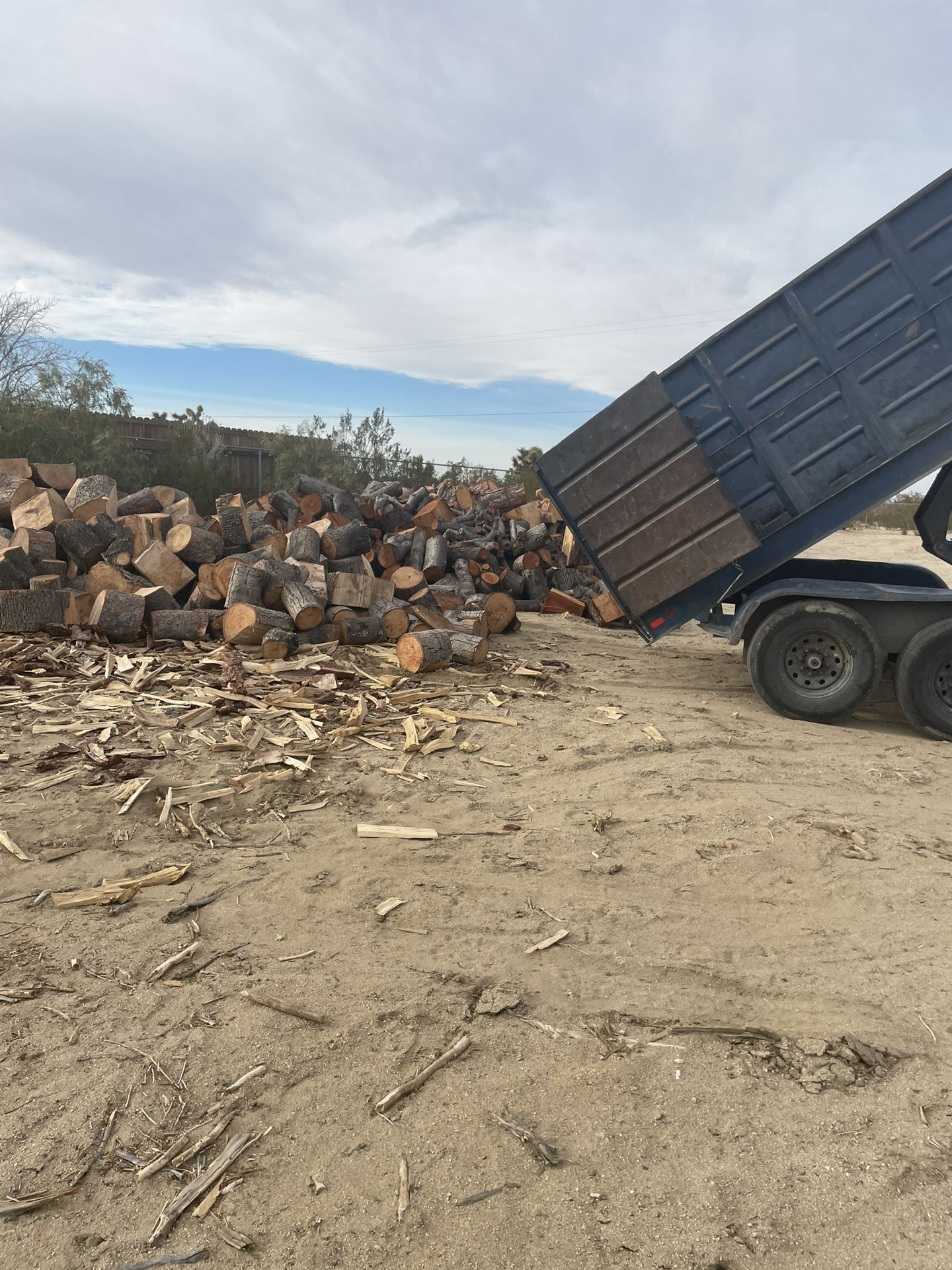 Firewood