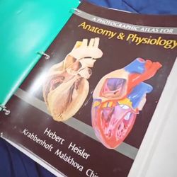 Anatomy & Physiology