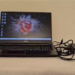 MSI GE75 Raider 17.3" Gaming Laptop