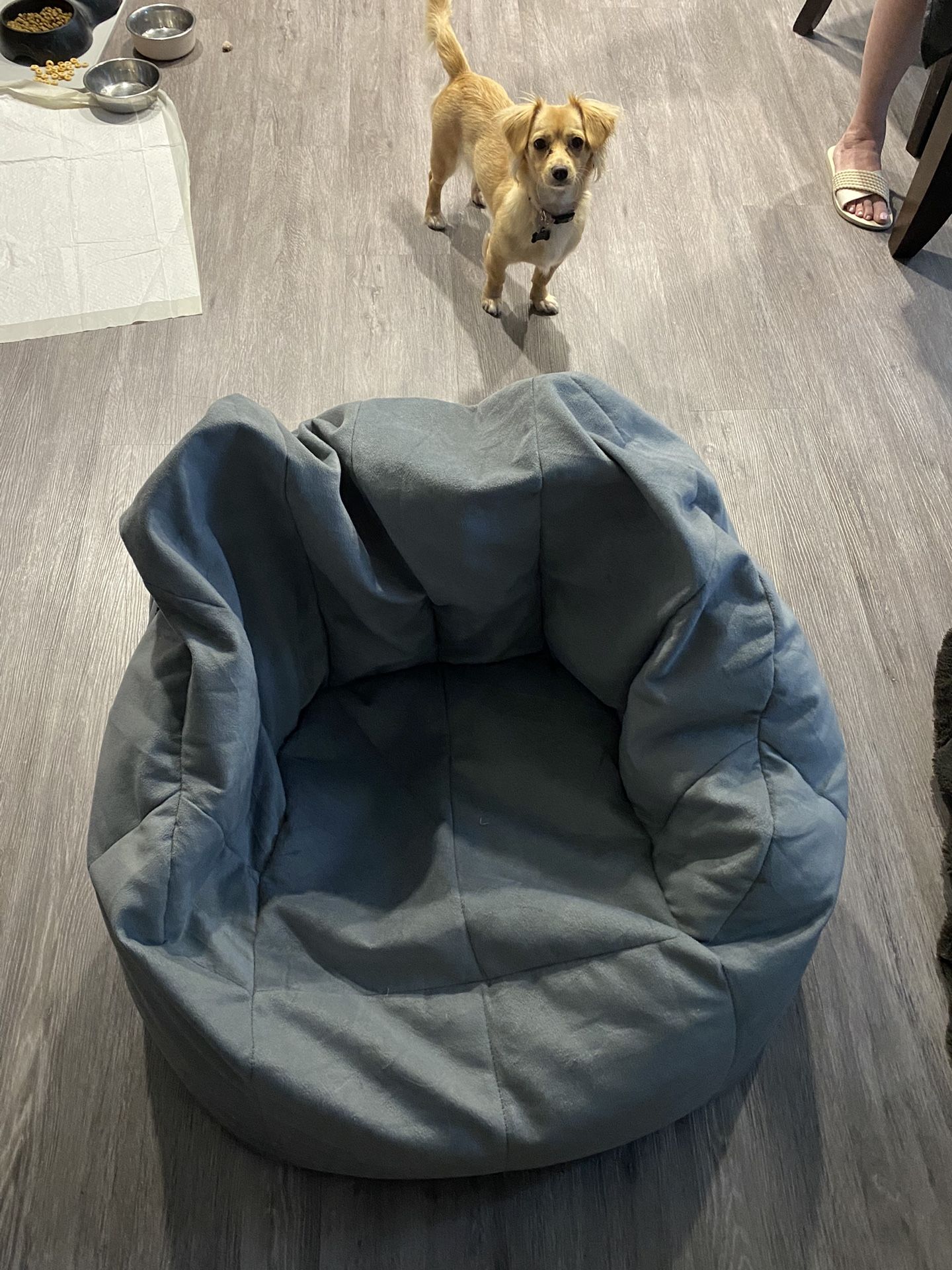 BigJoe bean bag chair/pillow chair