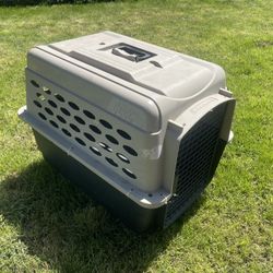Dog Kennel