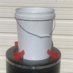 Chicken water feeders