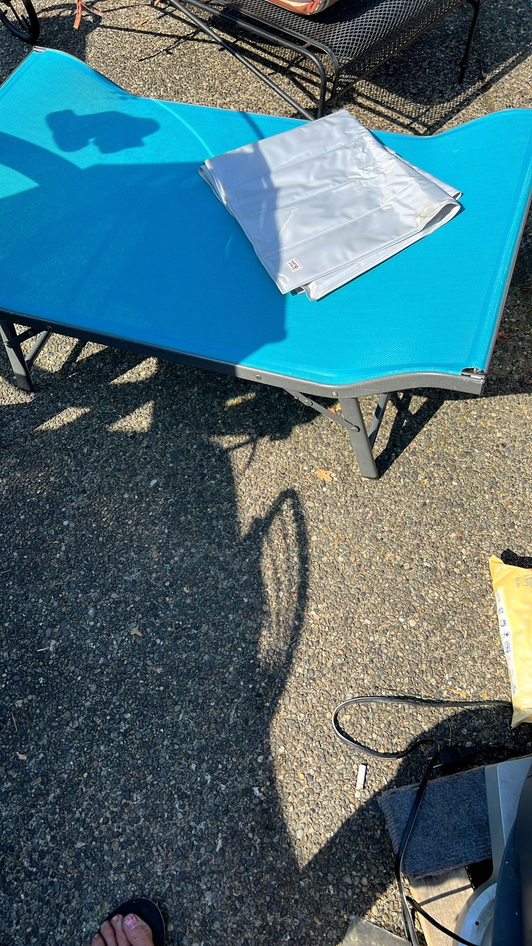 Above The Ground Dog Bed