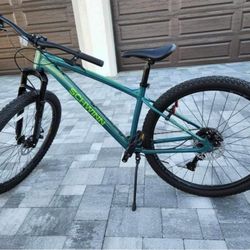 New Mountain Bike 29’