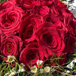 Red Rose Bouquet 