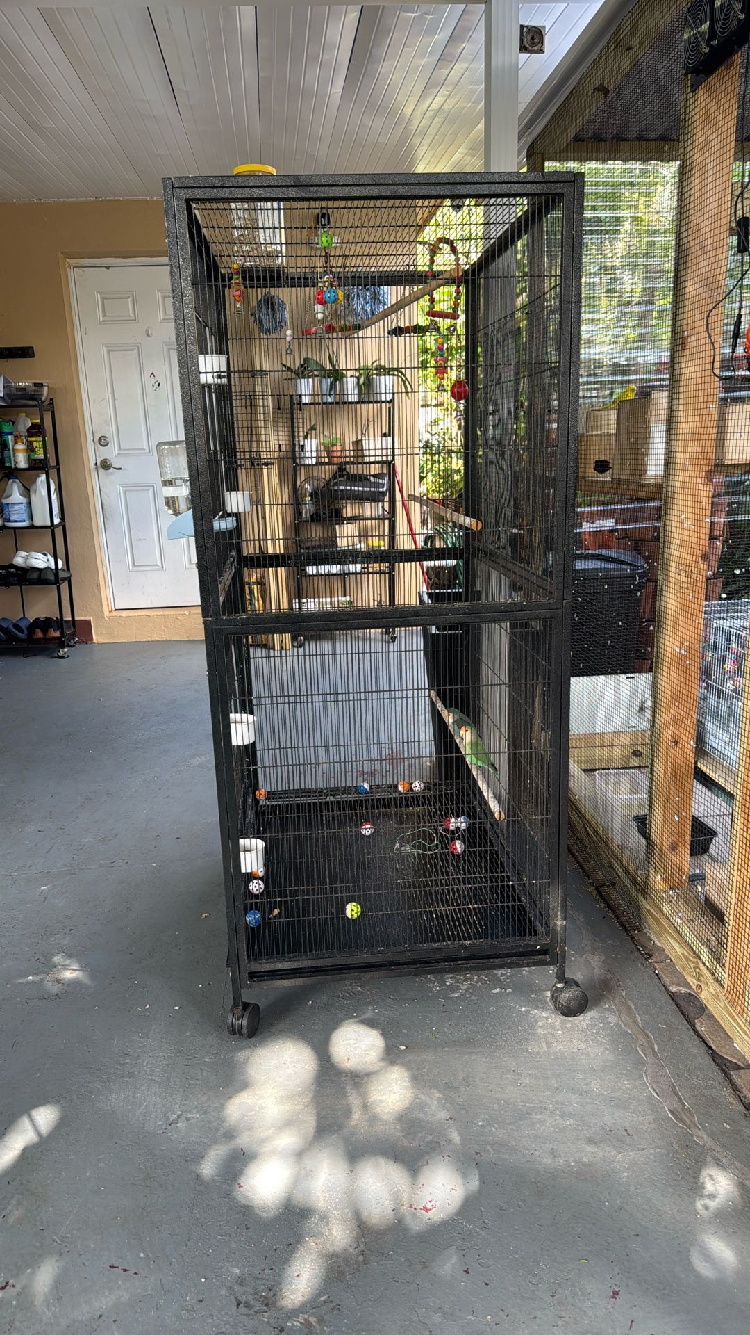 Big Bird Cage Great Conditions