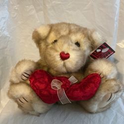 Plush Bear With Hearts New 12  Super Cute
