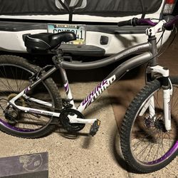 Genesis Mountain Bike 