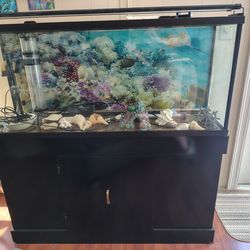 75 gallon fish tank