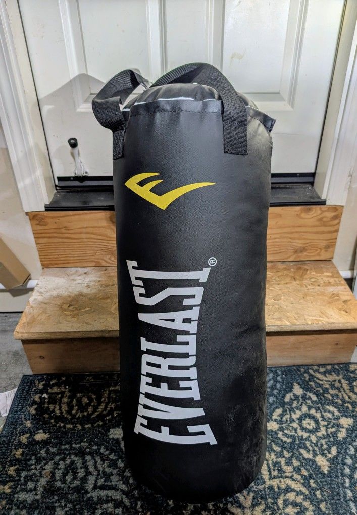 Everlast Punching Bag