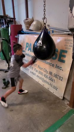 Punching Bag