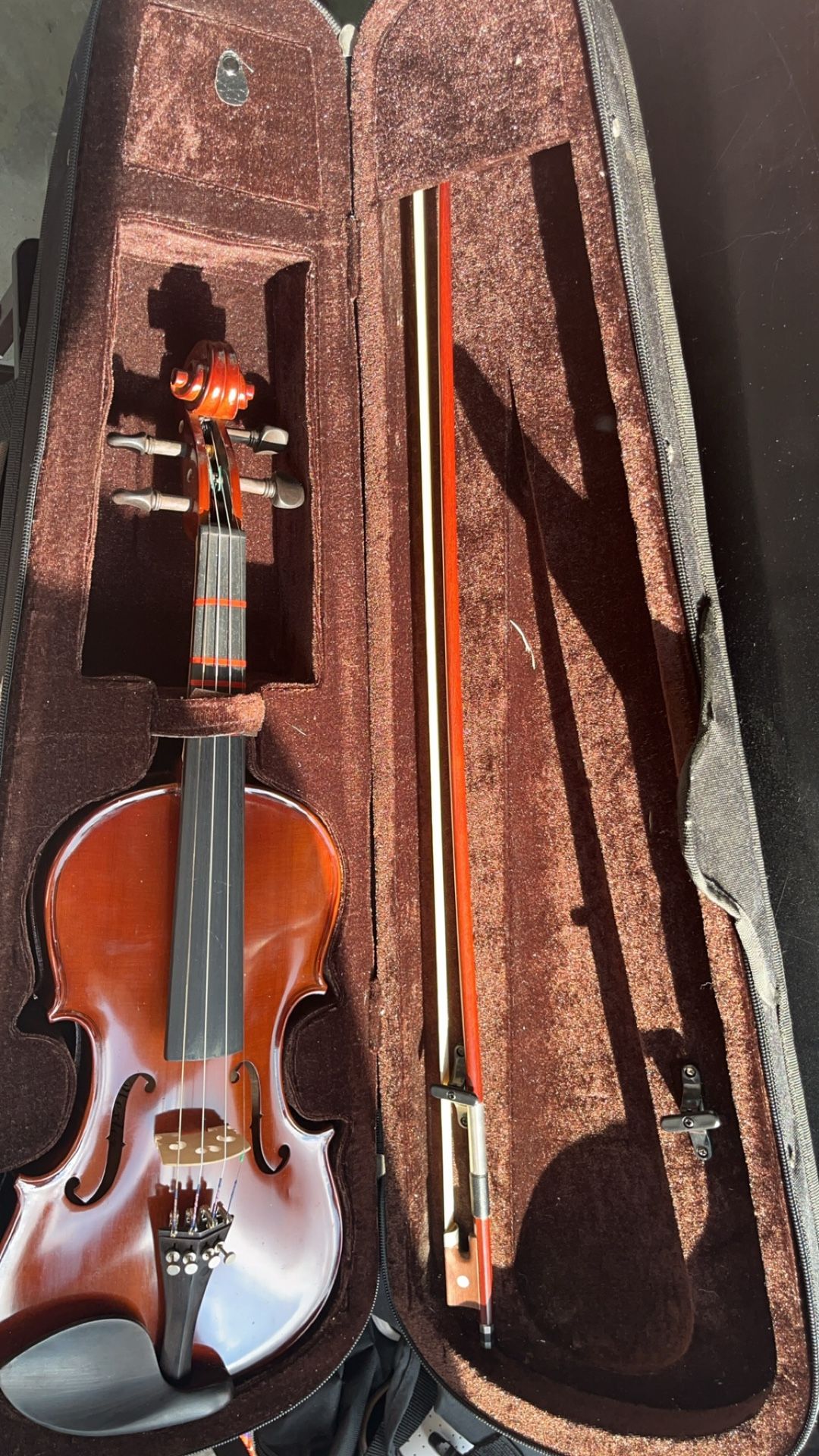 Violin