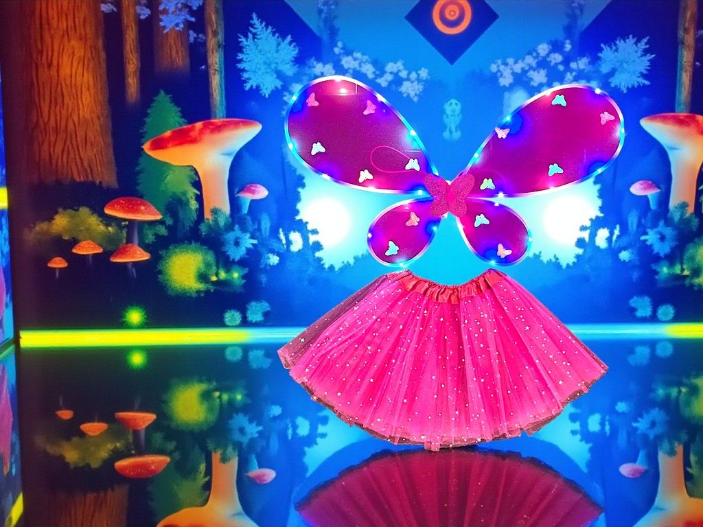LED Lite Wings On Butterfly Costumes- $8 Each Set.
