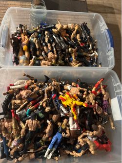130 wrestlers
