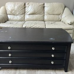 Coffee Table or TV Console 