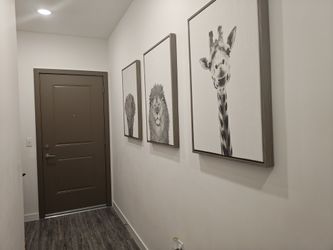 Set of 3 Framed Animal Canvas Wall Art