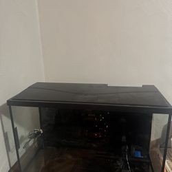 29 Gallon Fish Tank
