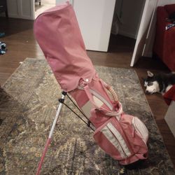 Lynx Golf Clubs And Bag