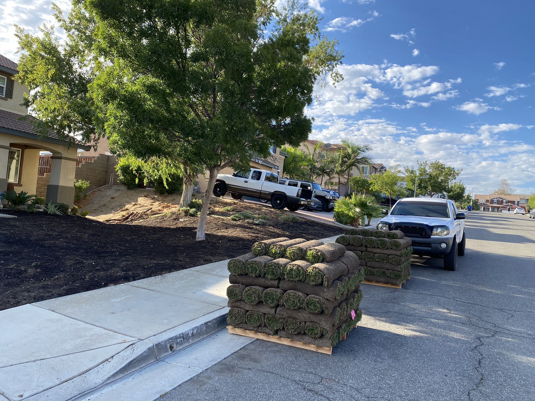 New Sod And Sprinklers