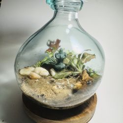 Terrarium 