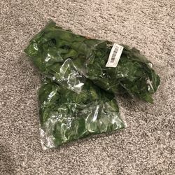 Fake Greenery