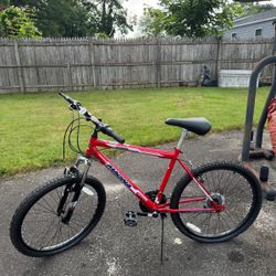 For Sale Bike Magna