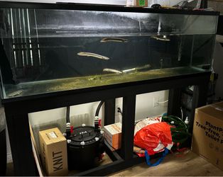 Fishtank and Stand