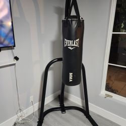 Punching Bag With Gloves 