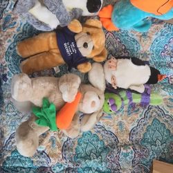 Stuffed Animals 