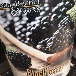 Navaho Thornless Blackberry Starter Plant 1 Gallon Self Fruitful