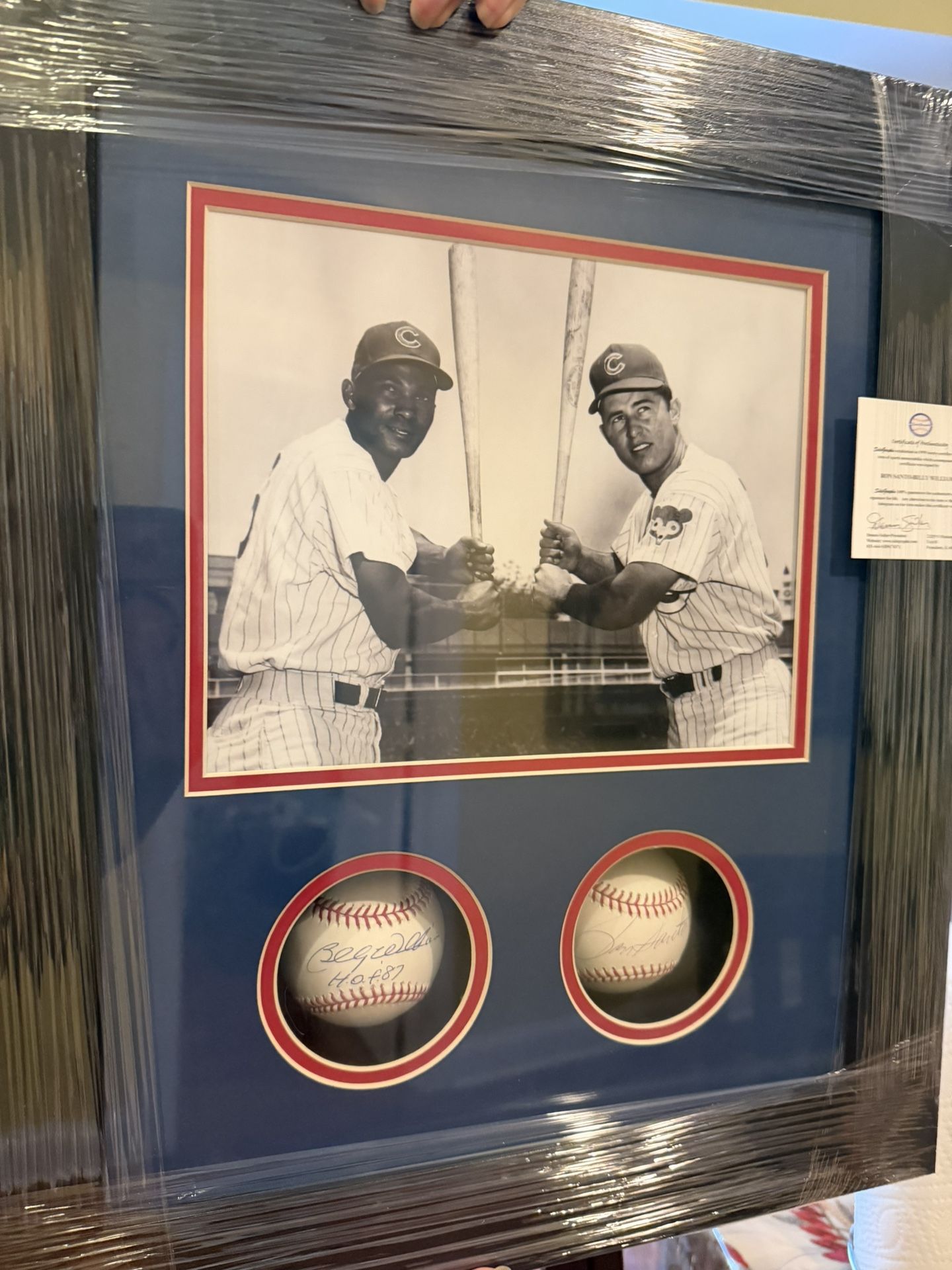 Ron Santo And Billy Williams Frame