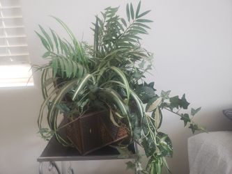 Fake plant