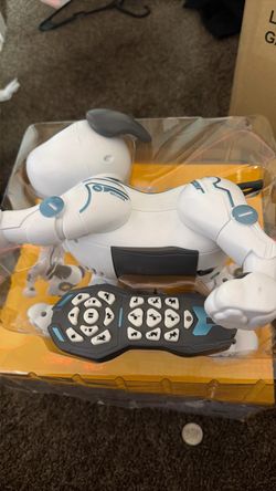 kids robot dog