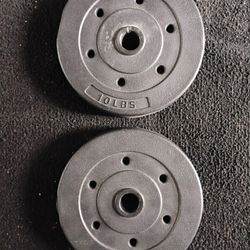 10 LB Weights 