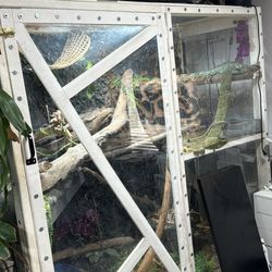 Reptile Enclosure 800$ OBO