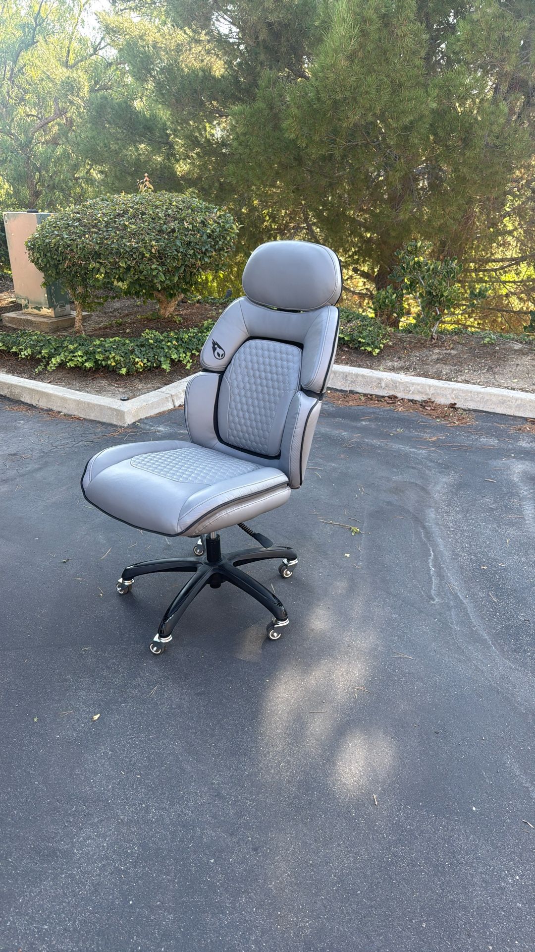 Office Or Gaming Chair.