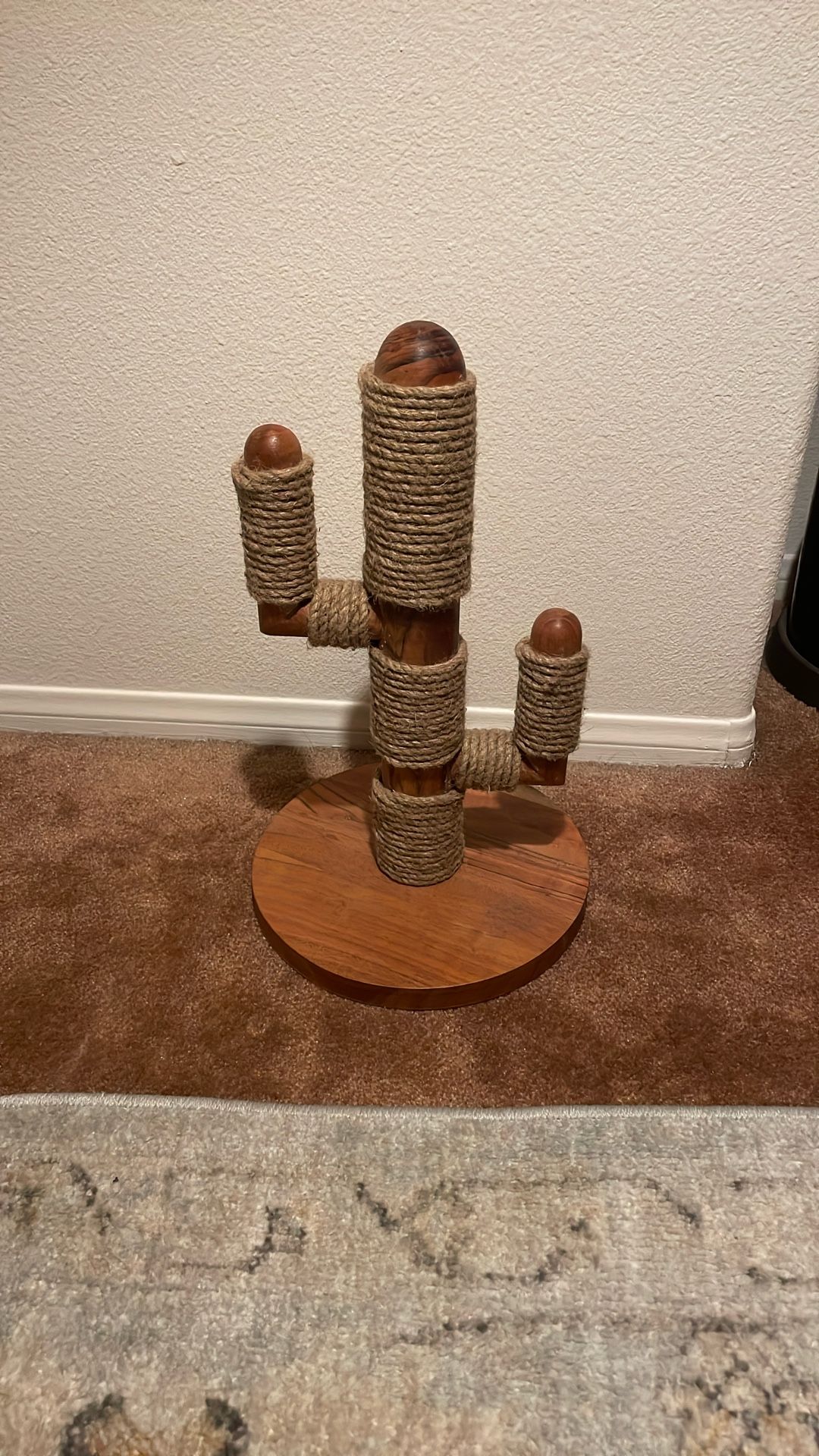 Cactus Cat Scratcher 
