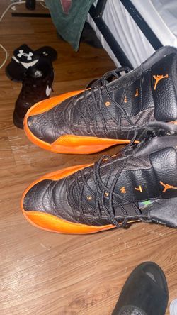Jordan 12 Size 10 Us